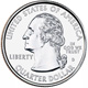 Expanded Quarter Shell Coin