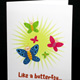 Butterfly Greeting Cards - 12 pack Butterfly Greeting Cards - 12 pack