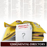 Mental Directory - A REALLY Big Book Test Mental Directory - A REALLY Big Book Test
