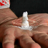 SUGAR BUNNY